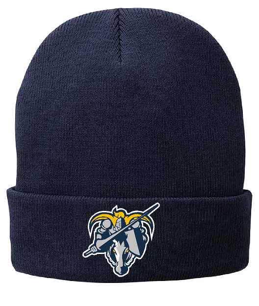 H001 CP90 Port & Company Knit Cap