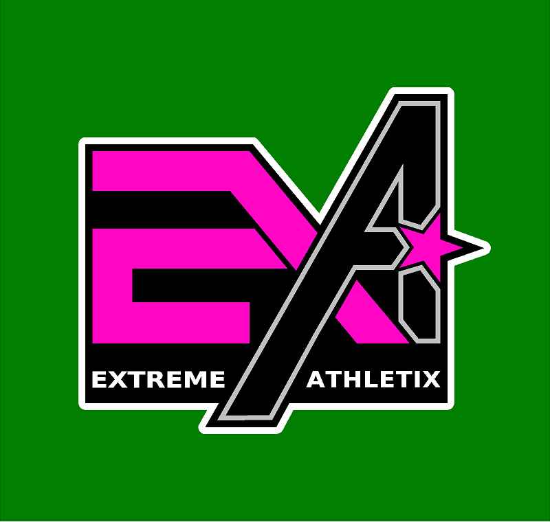 Z2 Vinyl Car Window Decal