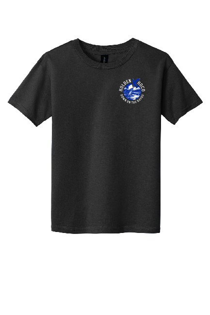 Youth Softstyle T-Shirt 64000B