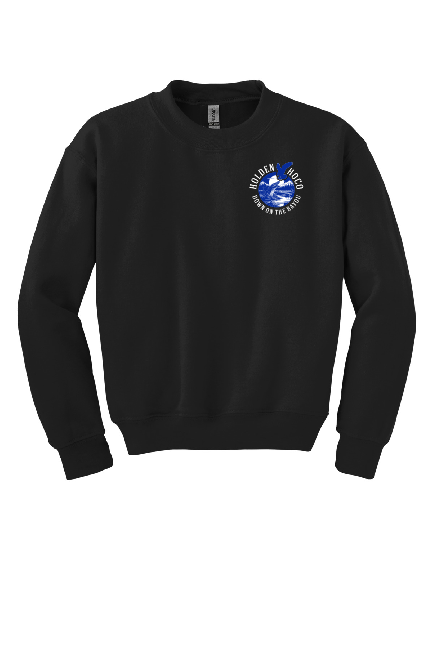 Youth Heavy Blend Crewneck Sweatshirt