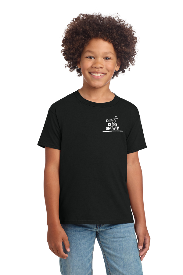 Youth Softstyle T-Shirt 64000B