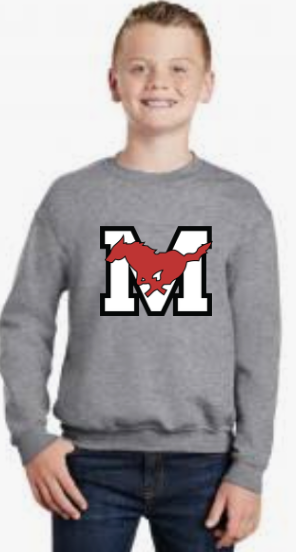 18000B Youth Heavy Blend Crewneck Sweatshirt - - 2 Designs