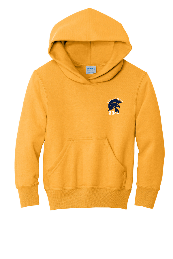 Youth Fleece Pullover Hooded Sweatshirt 20 Year PC90YH