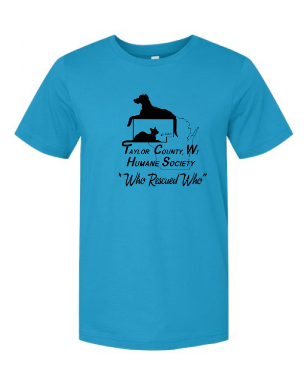 Bella Canvas Jersey Tee