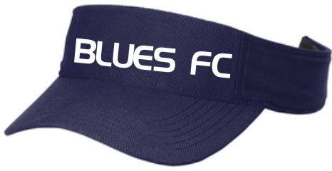 Hat- Visor STC51 Basic w/ Embroidered Logo