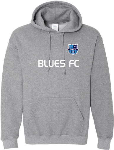 Unisex Gildan Hoodie 18500 w/ Printed Heat Transfer Logo