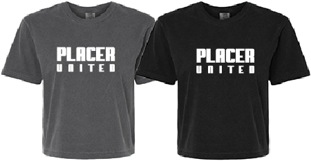 Ladies Comfort Color Boxy Tee 3023CL w/ Placer Text Logo