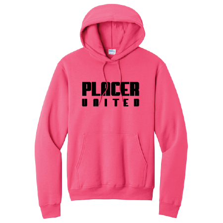 Unisex PC78H Port & Co Core Fleece Pullover Hooded Sweatshirt w/ Logo