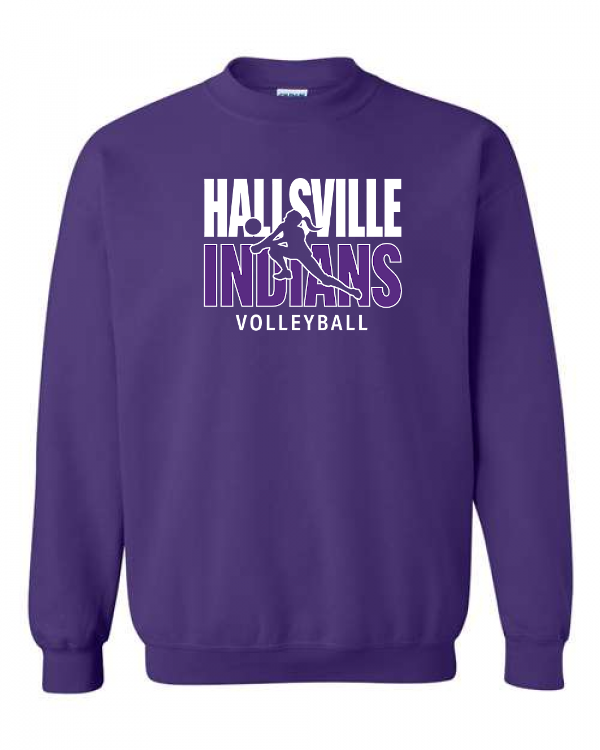 Volleyball Image 1 Crewneck Sweatshirt