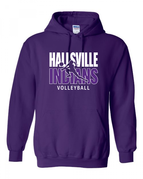 Volleyball Image 1 Hoodie