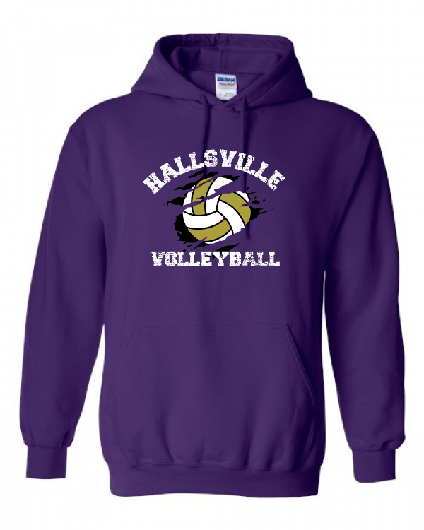 Volleyball Image 2 Hoodie