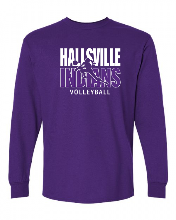Volleyball Image 1 Long Sleeve