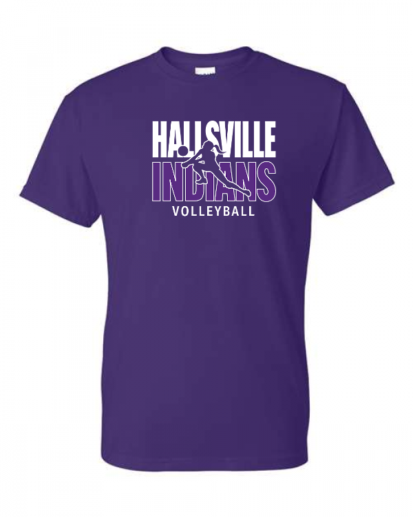 Volleyball Image 1 Short Sleeve