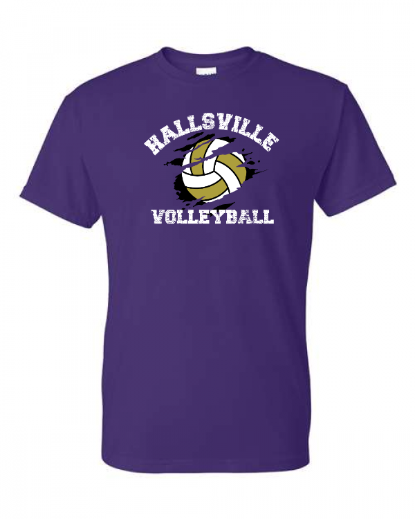 Volleyball Image 2 Short Sleeve