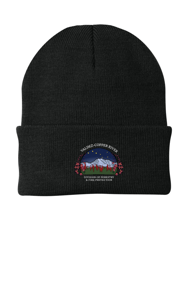 Knit Cap (CP90)