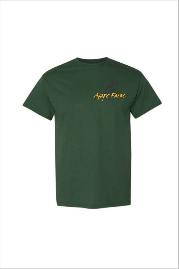 02 Gildan G800 Adult Short Sleeve Shirt with Left Chest Print