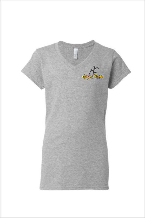14 Gildan 64V00L Softstyle Womens V Neck Tee with Left Chest Print
