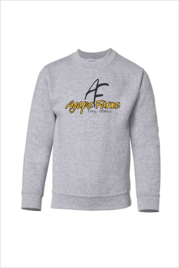 17 Gildan G180B Youth Crewneck Sweatshirt with Front Print