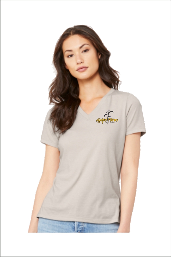 11 6405 CVC Bella Canvas Ladies Relaxed Heather CVC Jersey V Neck TShirt with Left Chest Print