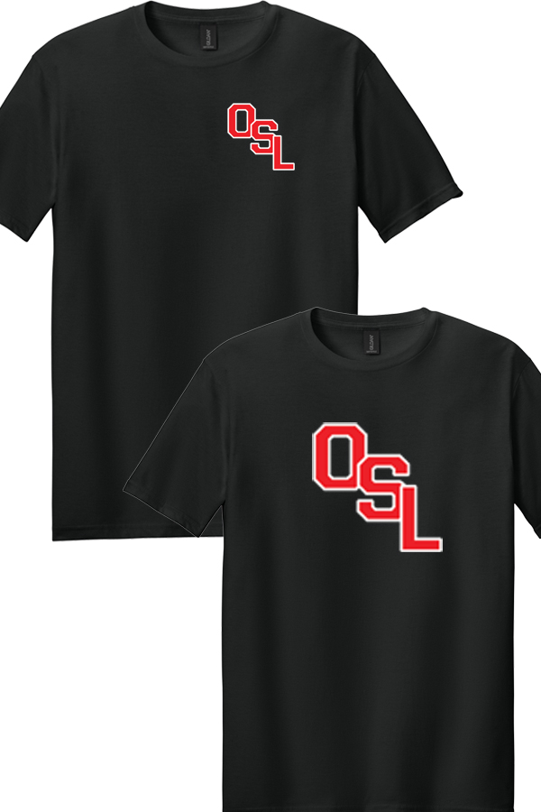 Softstyle T-Shirt - 64000