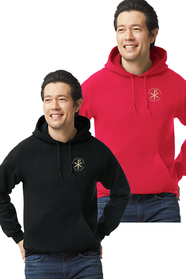 Heavy Blend Hooded Sweatshirt - GD342