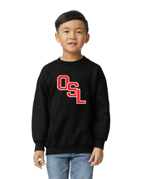 Youth Heavy Blend Crewneck Sweatshirt-18000b