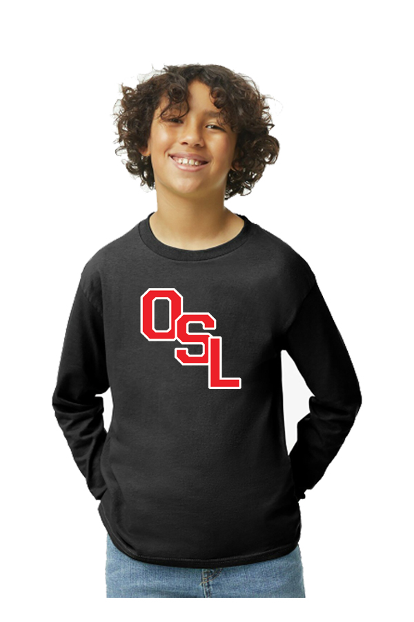 Youth Heavy Cotton 100% Cotton Long Sleeve T-Shirt