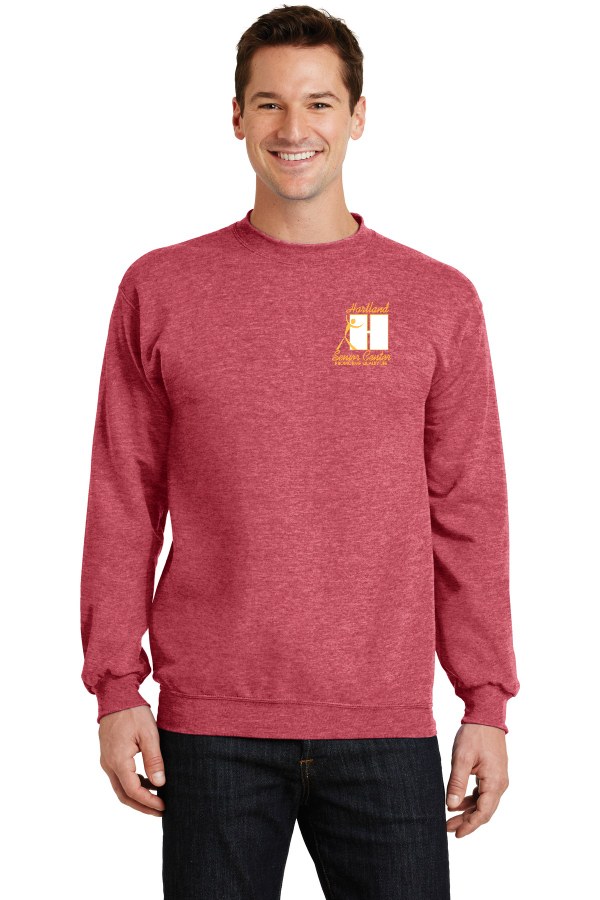 Unisex Core Fleece Pullover Hooded Sweatshirt - Embroidered Logo - PC78H