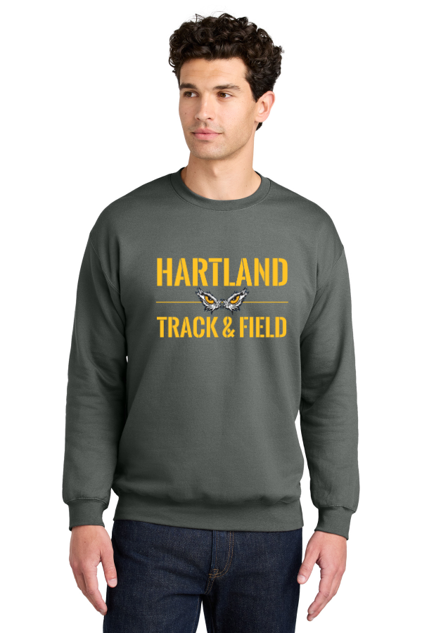 Adult Softstyle Crewneck Sweatshirt- SF000