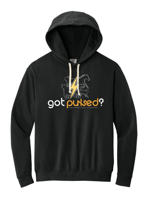 Got Pulsed? Lightweight Hooded Sweatshirt
