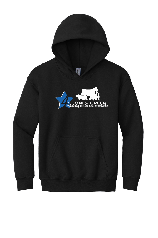YOUTH Hooded Sweatshirt