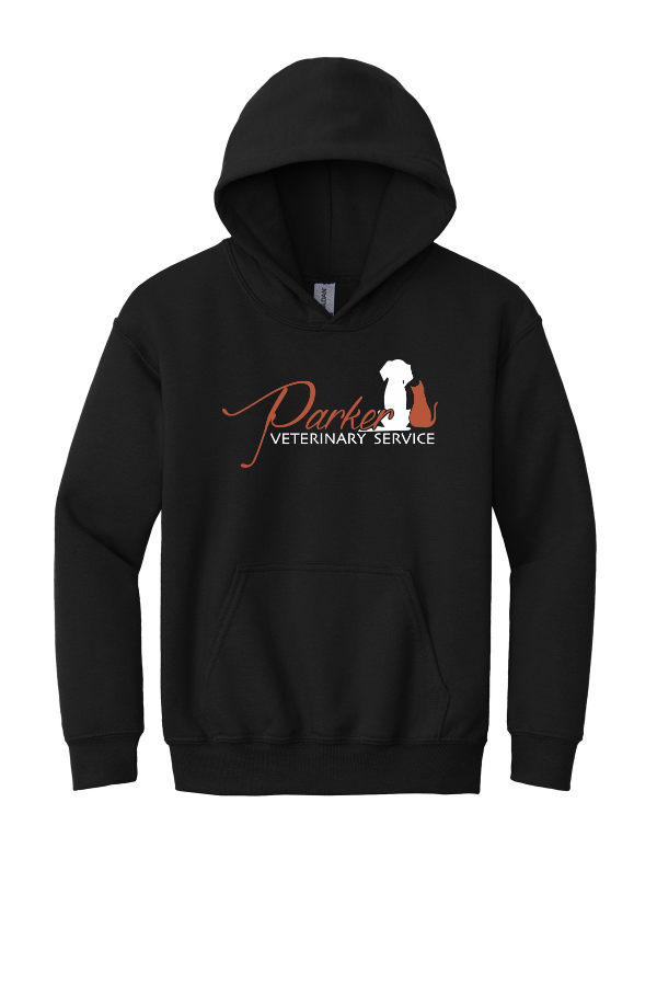 YOUTH Hooded Sweatshirt