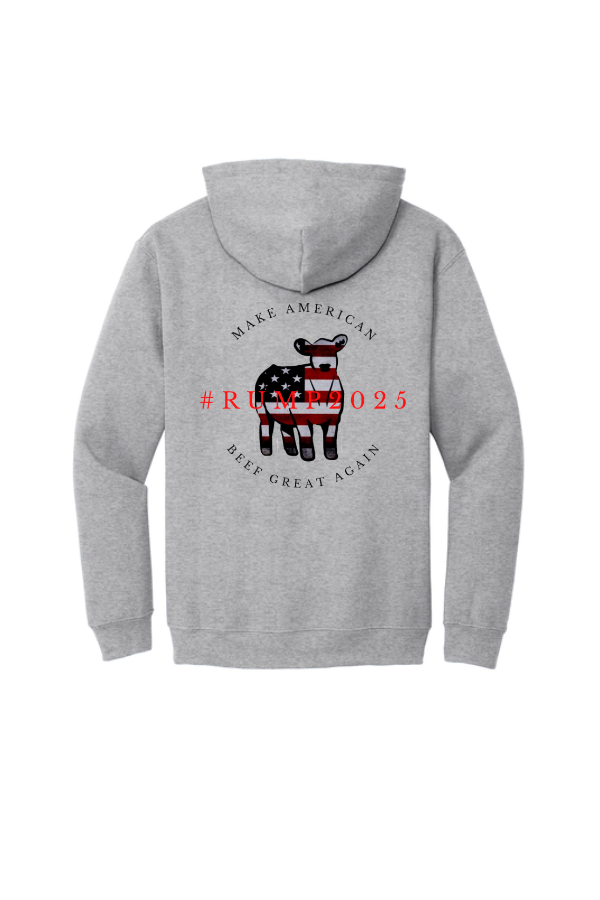 DTF Transfer Hoodie