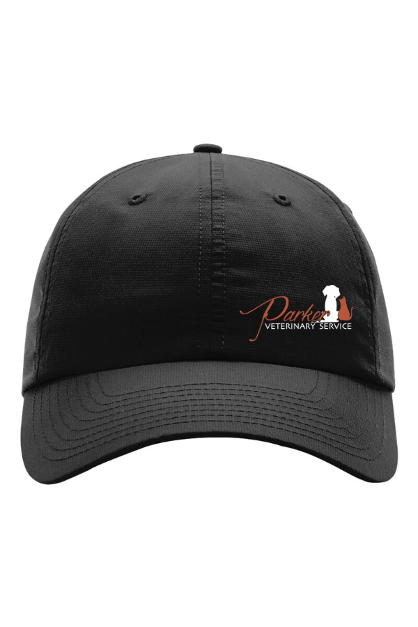 Richardson 220 Hat