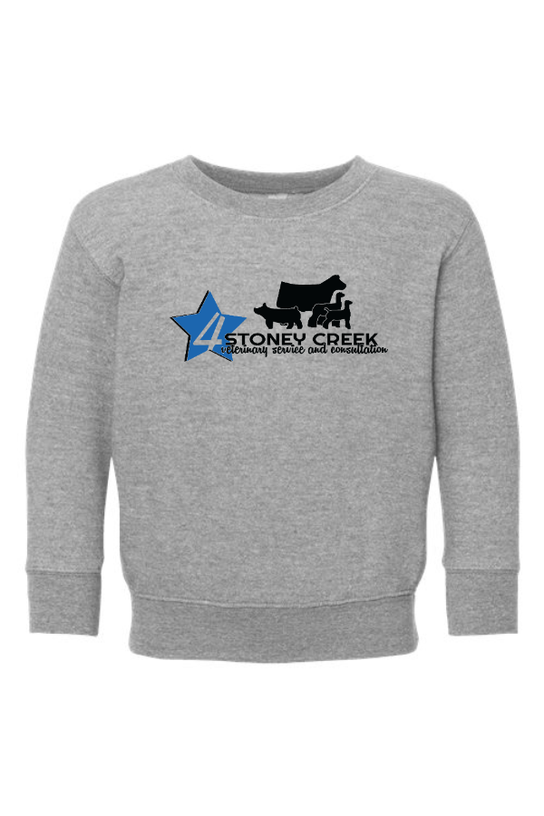 Toddler Crewneck Sweatshirt