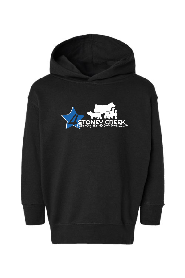 Toddler  Hoodie
