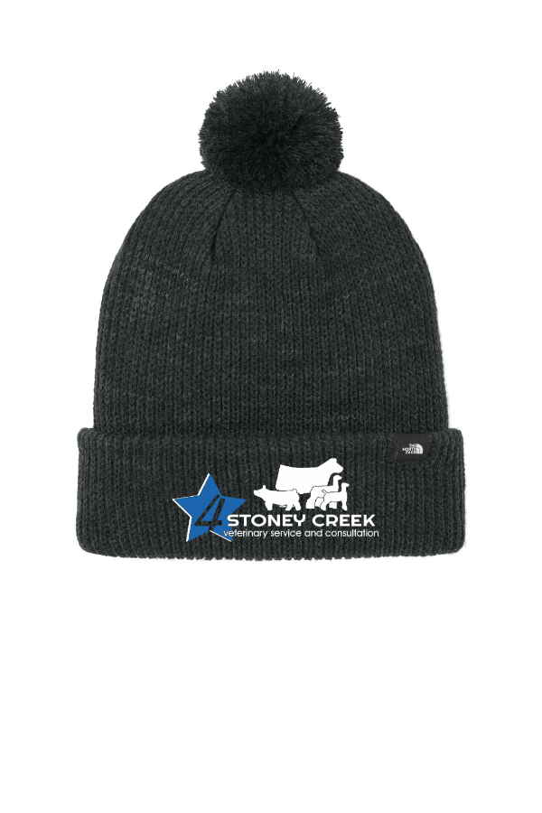 Pom Beanie
