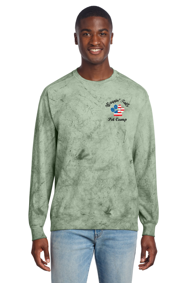 Color Blast Crewneck Sweatshirt