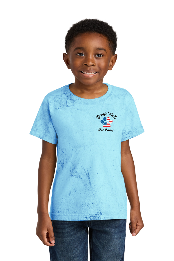 Youth Heavyweight Color Blast Tee
