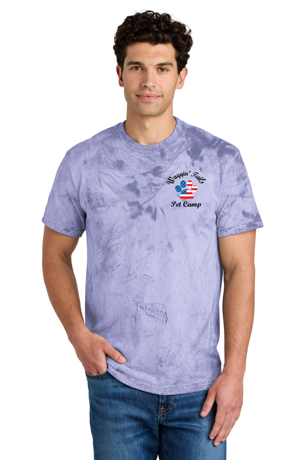 Heavyweight Color Blast Tee