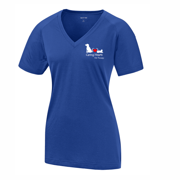03 - Ladies V-neck T-shirt