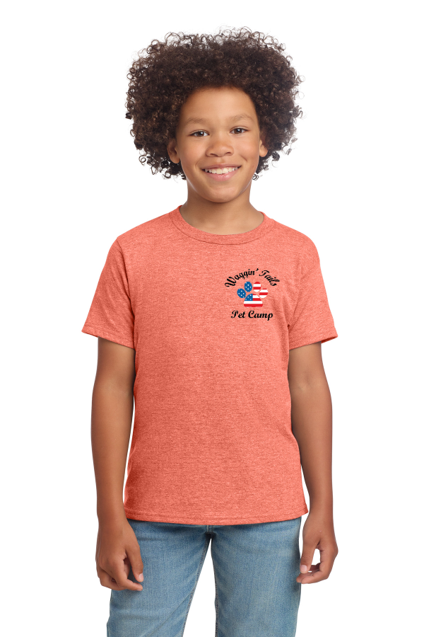 Youth Softstyle T-Shirt 64000B